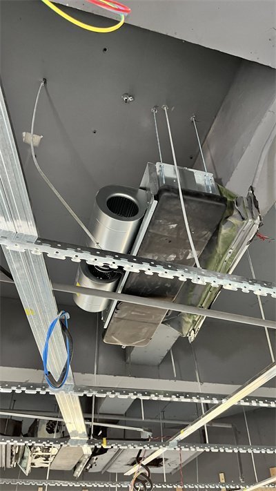 麥克維爾維保